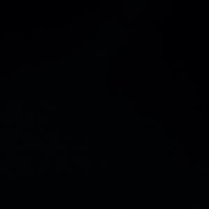 Meet your Posher, Terrence